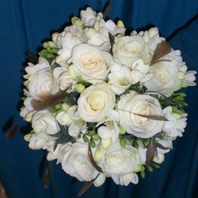 fwthumbBride HT Avalanche.jpg